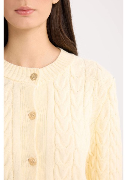 Regular Fit Bisiklet Yaka Saç Örgülü Düğmeli Triko Hırka C9044AX24WN