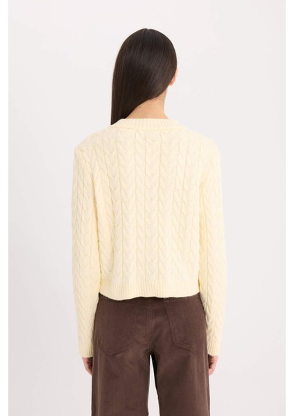 Regular Fit Bisiklet Yaka Saç Örgülü Düğmeli Triko Hırka C9044AX24WN