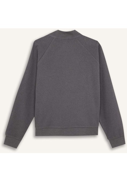 Oversize Geniş Kalıp Basic Düz Kanguru Cepli Fermuarlı Polo Yaka Sweatshirt E0741AX24WN