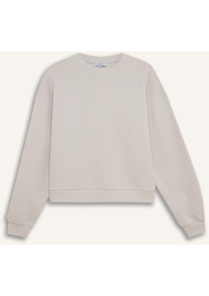 Regular Fit Bisiklet Yaka Kalın Basic Düz Sweatshirt D6645AX24WN