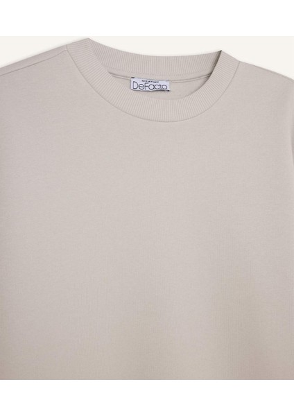 Regular Fit Bisiklet Yaka Kalın Basic Düz Sweatshirt D6645AX24WN