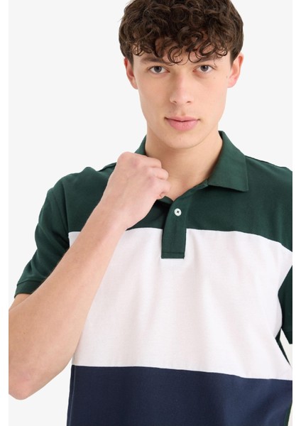 %100 Pamuk Regular Fit Polo Yaka Bloklu Kısa Kollu Tişört D7940AX25SP