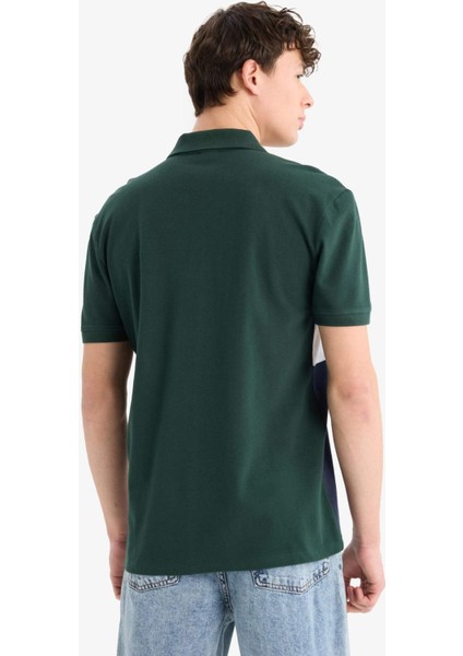 %100 Pamuk Regular Fit Polo Yaka Bloklu Kısa Kollu Tişört D7940AX25SP