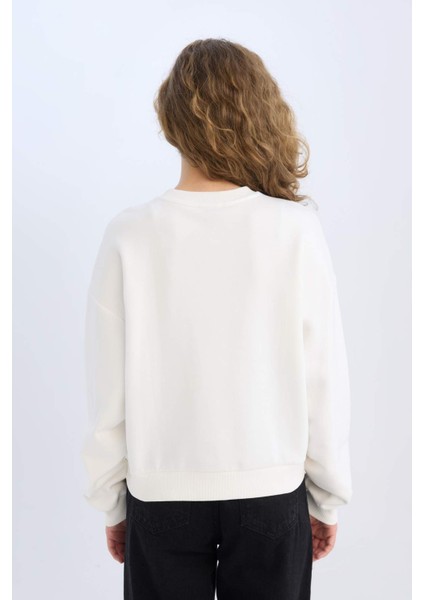 Regular Fit Bisiklet Yaka Kalın Basic Düz Sweatshirt D6645AX24WN