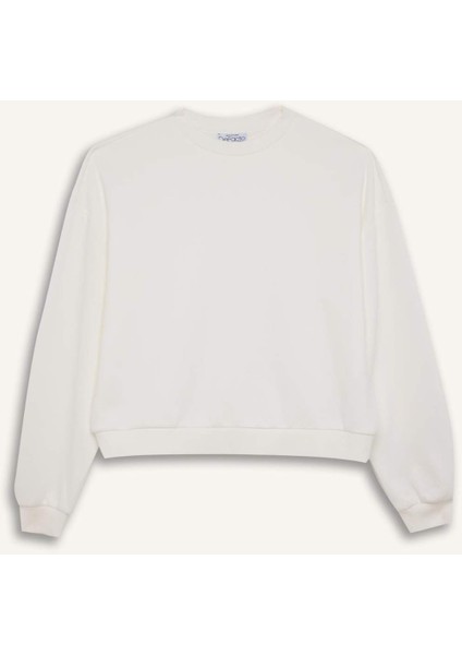 Regular Fit Bisiklet Yaka Kalın Basic Düz Sweatshirt D6645AX24WN