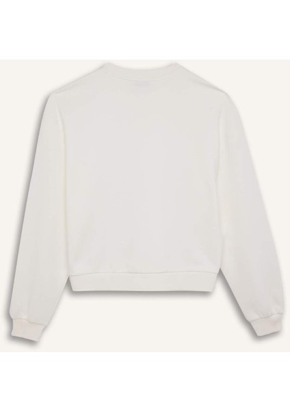 Regular Fit Bisiklet Yaka Kalın Basic Düz Sweatshirt D6645AX24WN