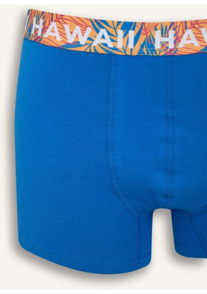 Regular Fit 3'lü Boxer D9874AX25SP