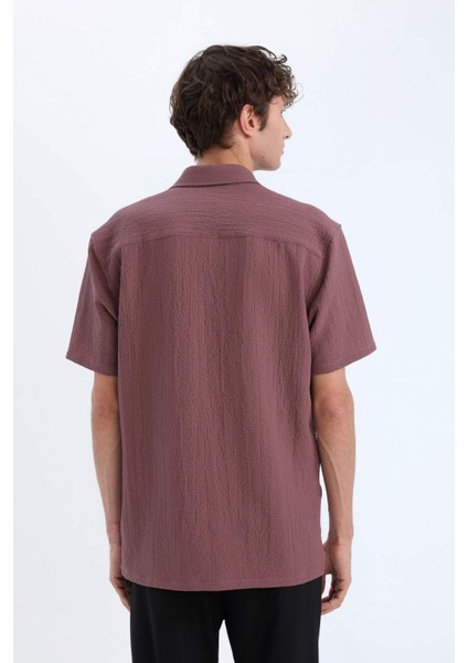 Regular Fit Polo Yaka Krinkıl Yazlık Kısa Kollu Gömlek E1223AX25SM