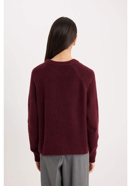 Regular Fit Bisiklet Yaka Basic Düz Triko Kazak D0035AX24WN