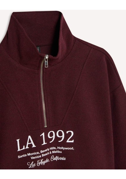 Regular Fit Yarım Fermuarlı Baskılı Sweatshirt E1849AX24WN