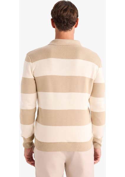 Standart Fit Polo Yaka Düğmeli Renk Bloklu Triko Kazak Y4194AZ24WN