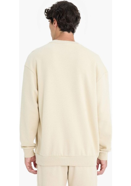 Boxy Fit Bisiklet Yaka Basic Düz Pike Sweatshirt E1519AX25SP