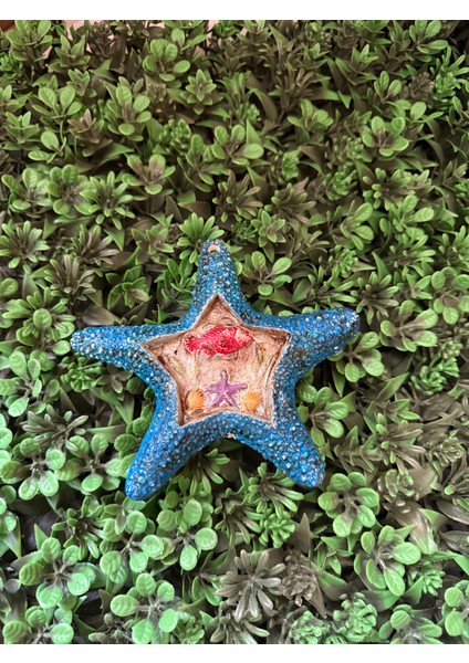 Duvar Süsü(Deniz Yıldızı)1 Adet