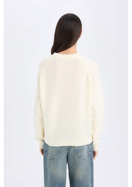 Regular Fit Bisiklet Yaka Basic Düz Triko Kazak D0035AX24WN