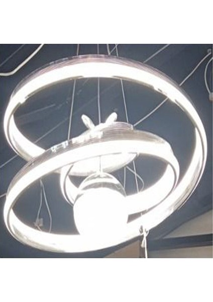Has Light Kaos Model LED Avize 3 Renkli