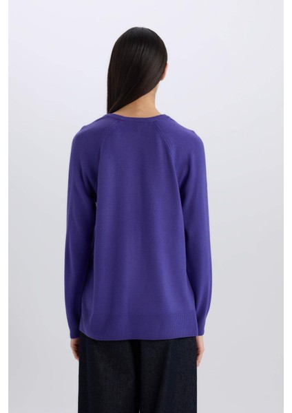 Regular Fit Yumuşak Dokulu Bisiklet Yaka Basic Düz Triko Kazak I6913AZ24WN