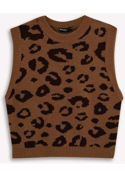 Coool Bisiklet Yaka Leopar Desenli Triko Süveter E4461AX25SP