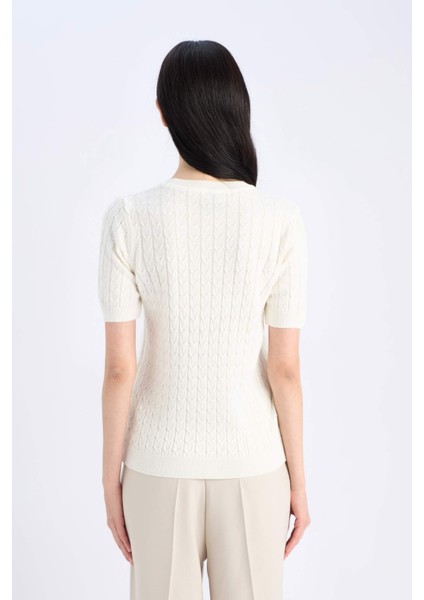 Regular Fit Bisiklet Yaka Basic Düz Triko Kısa Kollu Kazak D3306AX25SM