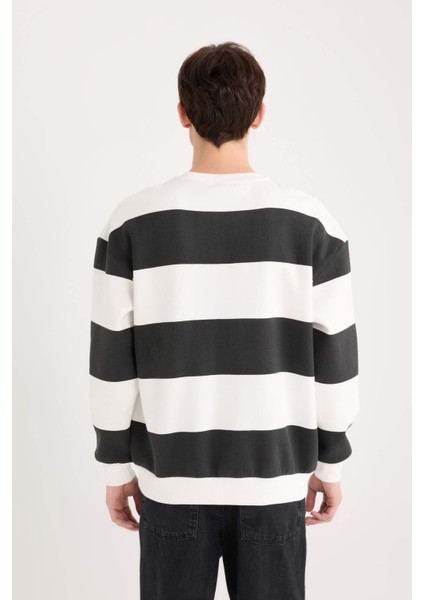 Boxy Fit Bisiklet Yaka Çizgili Dokuma Etiketli Sweatshirt A9066AX24AU