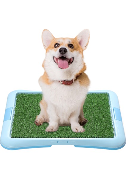 Evcil Hayvan Açık Tuvalet (Yurt Dışından)