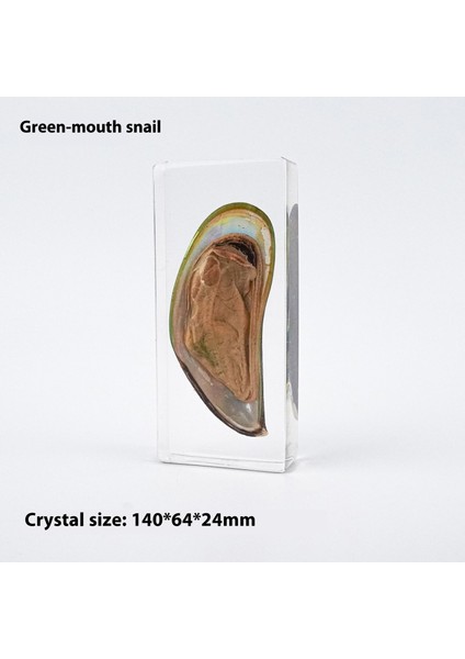 Deniz Numunesi Reçine El Sanatları ve Kültürel ve Yaratıcı Hediyeler (Yurt Dışından)