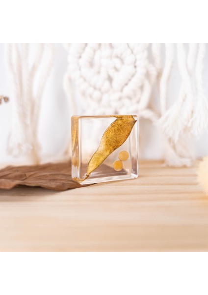 Gerçek Örnek Oyuncaklar Çocuk Çalışma Hediyeleri Süsler (Yurt Dışından)