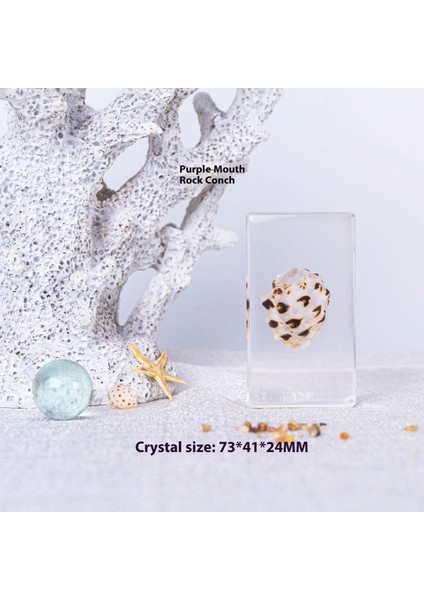 Deniz Numunesi Reçine El Sanatları ve Kültürel ve Yaratıcı Hediyeler (Yurt Dışından)