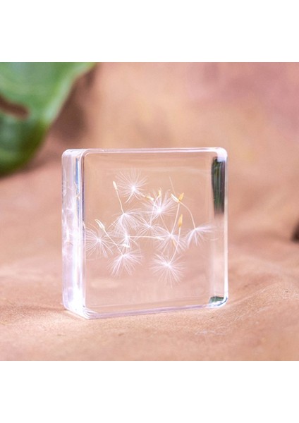 Gerçek Örnek Oyuncaklar Çocuk Çalışma Hediyeleri Süsler (Yurt Dışından)