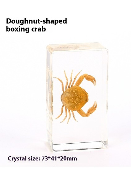 Deniz Numunesi Reçine El Sanatları ve Kültürel ve Yaratıcı Hediyeler (Yurt Dışından)