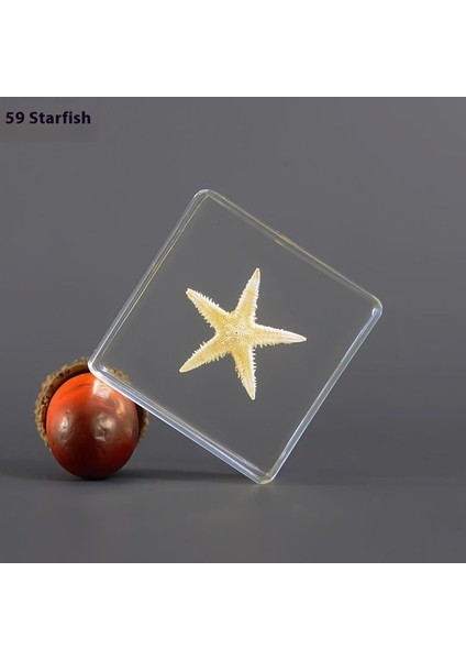 Örnek Gerçek Böcek Küçük Süsler Anaokulu Öğretim Gözlem Oyuncakları (Yurt Dışından)