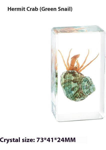 Deniz Numunesi Reçine El Sanatları ve Kültürel ve Yaratıcı Hediyeler (Yurt Dışından)