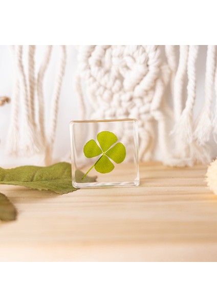 Gerçek Örnek Oyuncaklar Çocuk Çalışma Hediyeleri Süsler (Yurt Dışından)