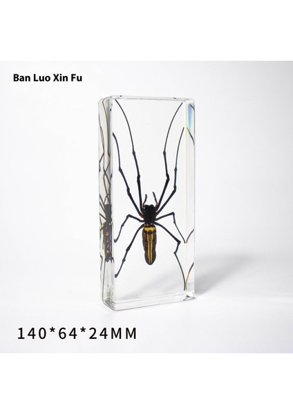 Örnek Hediye Süsler Reçine El Sanatları Öğretim Koleksiyonu (Yurt Dışından)