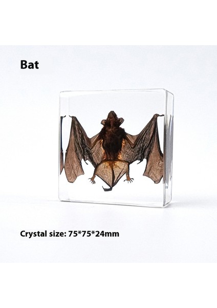 Örnek Hediye Süsler Reçine El Sanatları Öğretim Koleksiyonu (Yurt Dışından)