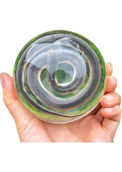 Örnek Reçine El Sanatları Çocuk Oyuncakları Çalışma Hediyeleri Süsler (Yurt Dışından)