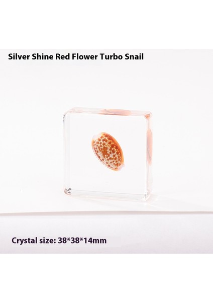 Gerçek Örnek Oyuncaklar Çocuk Çalışma Hediyeleri Süsler (Yurt Dışından)