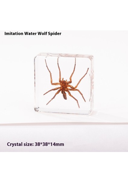 Gerçek Örnek Oyuncaklar Çocuk Çalışma Hediyeleri Süsler (Yurt Dışından)