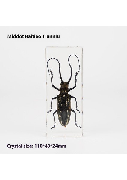 Hayvan Tahniti Kristal Damla El Sanatları Çocuk Öğretimi Dekoratif Süsler Edebi Hediyeler (Yurt Dışından)