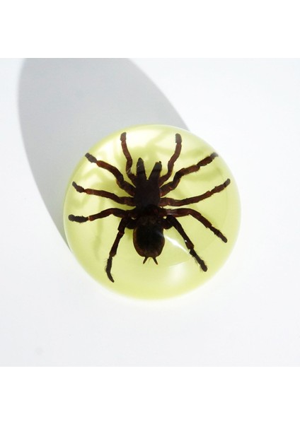 Örnek Reçine El Sanatları Çocuk Oyuncakları Çalışma Hediyeleri Süsler (Yurt Dışından)