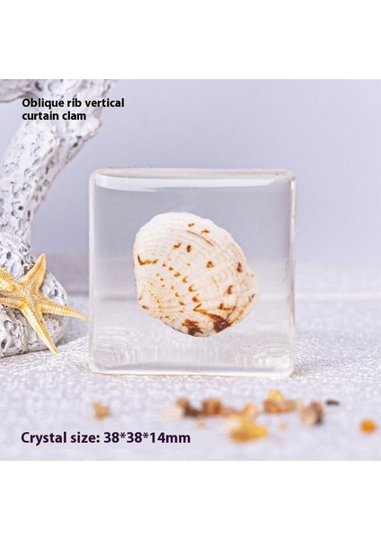 Gerçek Örnek Oyuncaklar Çocuk Çalışma Hediyeleri Süsler (Yurt Dışından)