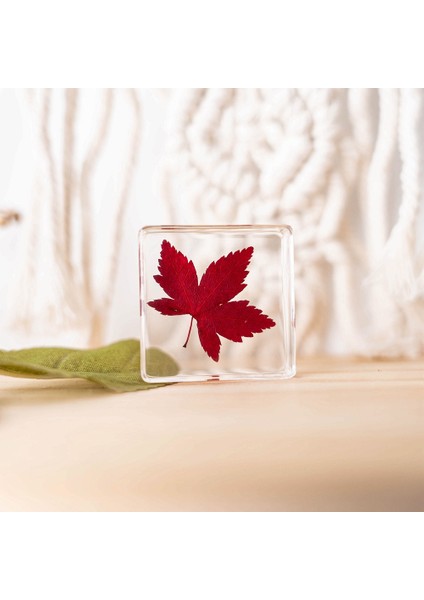 Gerçek Örnek Oyuncaklar Çocuk Çalışma Hediyeleri Süsler (Yurt Dışından)