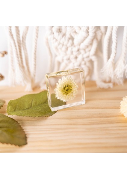 Gerçek Örnek Oyuncaklar Çocuk Çalışma Hediyeleri Süsler (Yurt Dışından)