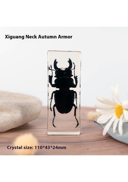 Hayvan Tahniti Kristal Damla El Sanatları Çocuk Öğretimi Dekoratif Süsler Edebi Hediyeler (Yurt Dışından)