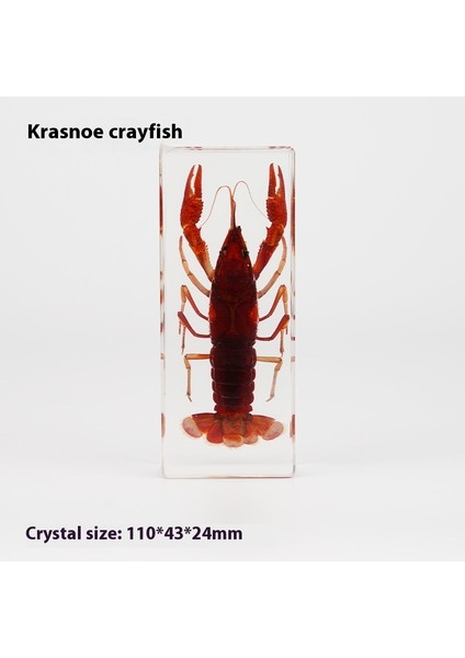 Hayvan Tahniti Kristal Damla El Sanatları Çocuk Öğretimi Dekoratif Süsler Edebi Hediyeler (Yurt Dışından)