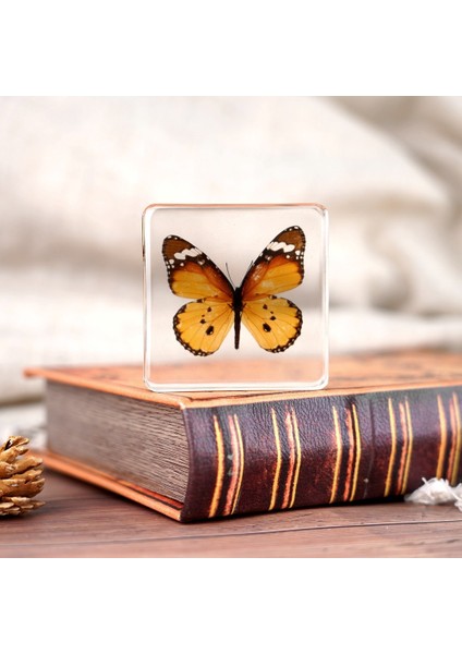 Böcek Reçine Örnekleri Yaratıcı Hediyeler Oyuncaklar Süsler (Yurt Dışından)