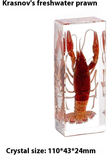 Deniz Numunesi Reçine El Sanatları ve Kültürel ve Yaratıcı Hediyeler (Yurt Dışından)