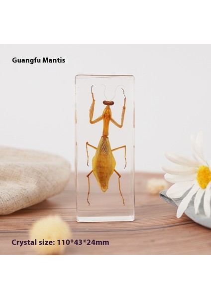 Hayvan Tahniti Kristal Damla El Sanatları Çocuk Öğretimi Dekoratif Süsler Edebi Hediyeler (Yurt Dışından)