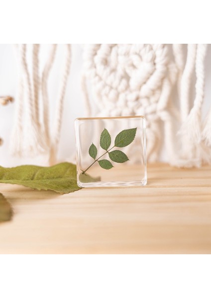 Gerçek Örnek Oyuncaklar Çocuk Çalışma Hediyeleri Süsler (Yurt Dışından)