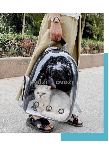 Pet Kediler ve Küçük Köpekler Için Dış Mekan Nefes Alabilir Omuz Çantası (Yurt Dışından) fırsatları