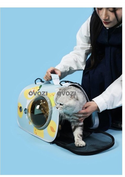 Pet Outing Nefes Alabilir Omuz Çantası Crossbody Tote Çanta Kediler ve Küçük Köpekler Için (Yurt Dışından) fiyatları